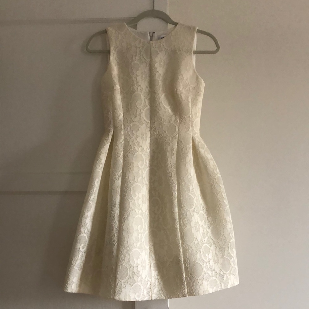 Calvin Klein Brocade White Lace Dress